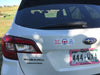 Please Don't Honk - Window Decal - Item #60